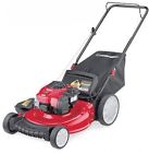 11a-b2bm766 Mtd Products Inc Gas Push Lawn Mower Engine 043033567164