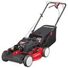 12ava2m5766 Troybilt Fwd High Wheel Lawn Mower 043033584017