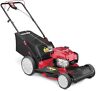 12avb2a3711 Gas Lawn Mower With Briggs And