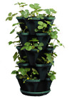 1305-hg Stacky Stackable Strawberry Herb Flower Vegetable Plante 722301863398