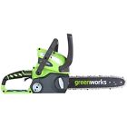 2000219 Greenworks Green Works 40v 841821020736