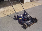 224110x8c Murray Push Lawnmower Lawn