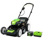 2510002 Greenworks Pro Volt Lawn Mower