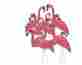 52521480 Yozos Home Kitchen Features 263 6 Flamingos Salmon Set Of 12 Pink 046095026365
