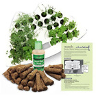 800570-0200 Aerogrow Aerogarden Seed Starting 810705012549