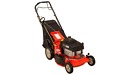 911193 Ariens New Best Classic 21