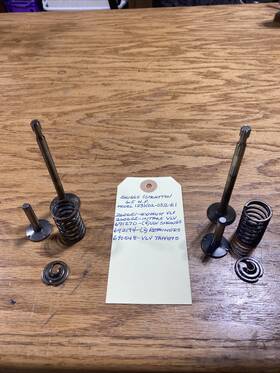 690548 Briggs & Stratton 262651 Used Oem #262651 #262652 #691270 #690548 Valve Springs Tappets And