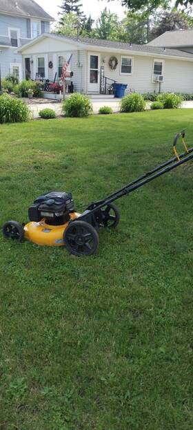 Dv8618p-e2 Poluan Pro 21-inch Polan Push Lawn Mower With Grass Catcher Yellow Color