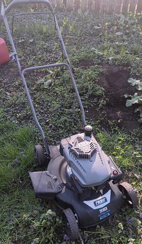 Ptg1220d8 Pulsar Lawn Mower - 20 Inch Cutting Path 161 Cc