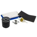 Tune Up Service Maintenance Kit For John Deere X304 X300R 17HP Mowers. Fixed Price $29.90.
