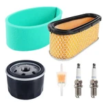 Air Filter Oil For Toro 71180 71181 71182 71184 71185 Lawn Tractor. Fixed Price $26.98.