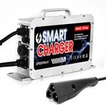 48V 25A Battery Charger For Ryobi Electric Riding Lawn Mower +3PIN Triangle Plug. Fixed Price $169.99.