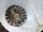 Briggs & Stratton Flywheel 691987 492177 492175 692315. Fixed Price $12.95.
