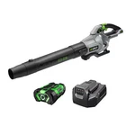 Ego LB6151 56-VOLT 615-CFM 170-MPH Battery Handheld Leaf Blower 2.5 Ah. Fixed Price $154.00.