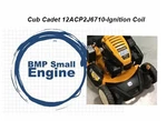 Ignition Coil Module For Cub Cadet SC500EZ 12ACC6S6710 Lawn Mower. Fixed Price $29.99.