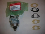 Honda Oem Engine Carburetor All HRT216 And HRZ216 Series + 5 Mounting Gaskets. Fixed Price $48.50.