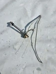 Briggs And Stratton Governor Assembly 691374, 691841, 691842, Etc. Fixed Price $20.00.