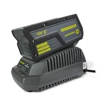 Yardworks 40V Volt Push Mower Battery And Charger 2902200. Fixed Price $79.99.