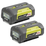Ryobi Pack Of Genuine Oem Replacement Batteies, 206336003-2PK. Fixed Price $369.98.