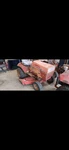 Gravely 12-G Lawn Mower Gasoline Powered Rotary Blade Outdoor Equipment. Fixed Price $500.00.