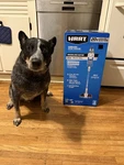 Hart 20V Cordless Stick Vacuum Brushless Pet Grade W/ 4.0AH Battery Charger New. Fixed Price $135.00.