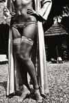 1970S Vintage Helmut Newton Female Fashion Silk Stockings & Lawn Mower Photo Art. Fixed Price $117.45.