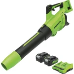 Greenworks 24V) 585 Cfm 140 Mph Axial Leaf Blower With (2) 4.0 Ah. Fixed Price $214.87.