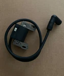 Ignition Coil For Briggs And Stratton 31R707 31C707 31P777-0348-E1 33R877. Fixed Price $19.99.
