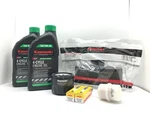 Kawasaki Oem Tune Up Kit #99969-6543 For FR651V FR691V FR730V & All Fs Engines. Fixed Price $52.26.
