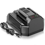 Rapid Faster Charger For Ego 56V Battery CH2100 BA1400 BA4200 BA5600. Fixed Price $46.99.